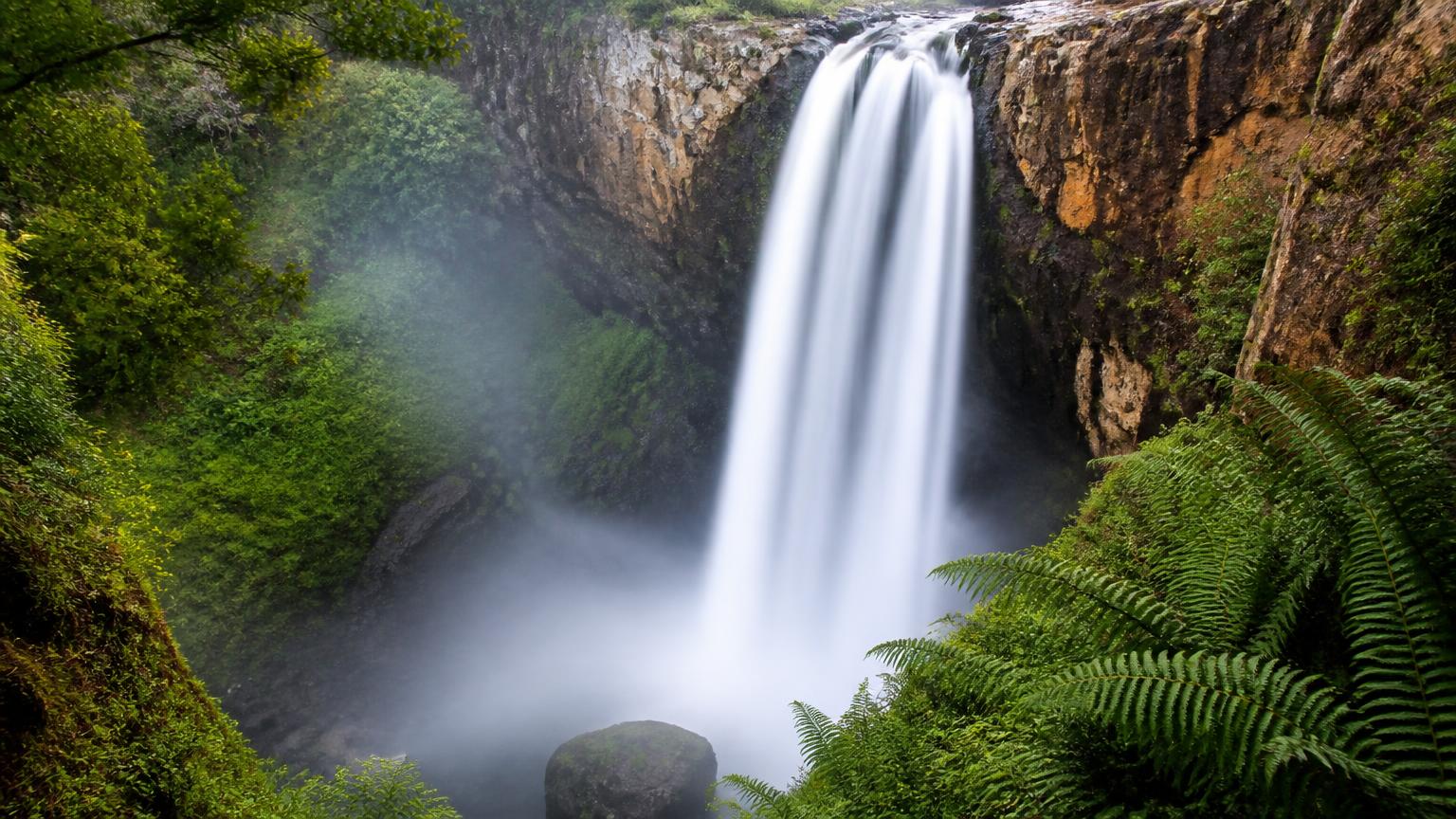Waterfall plunging into a fern-lined gorge near Graskop on the Panorama Route